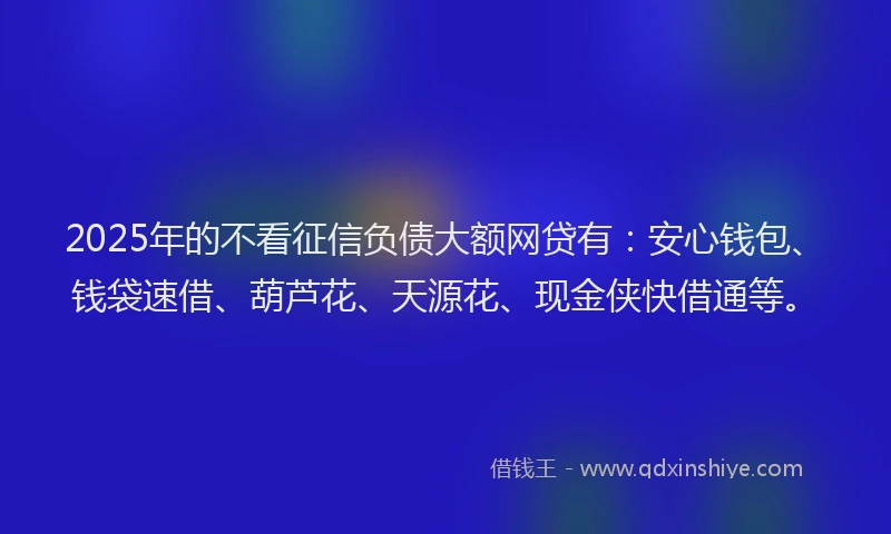 2025年的不看征信负债大额网贷有：安心钱包、钱袋速借、葫芦花、天源花、现金侠快借通等。