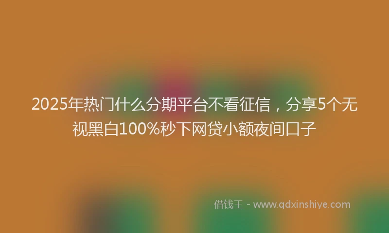 2025年热门什么分期平台不看征信，分享5个无视黑白100%秒下网贷小额夜间口子