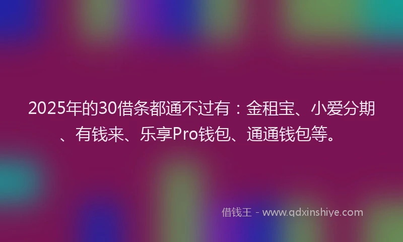 2025年的30借条都通不过有：金租宝、小爱分期、有钱来、乐享Pro钱包、通通钱包等。