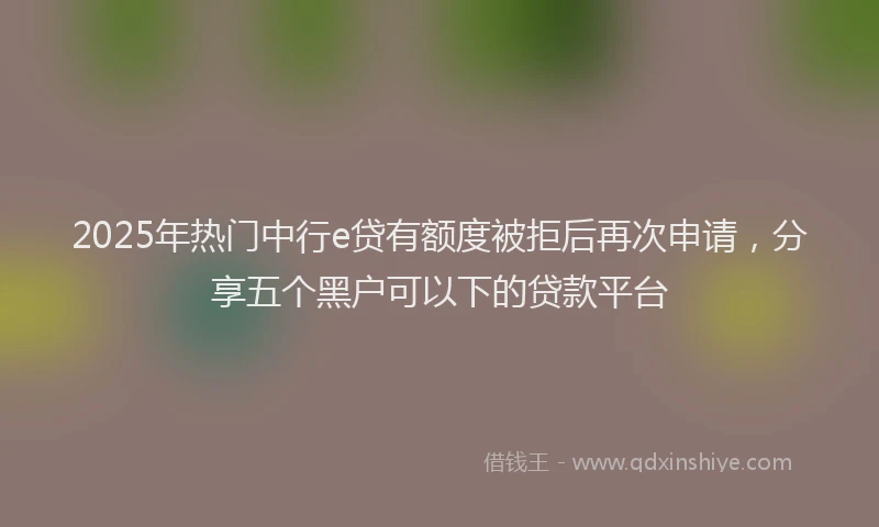 2025年热门中行e贷有额度被拒后再次申请，分享五个黑户可以下的贷款平台
