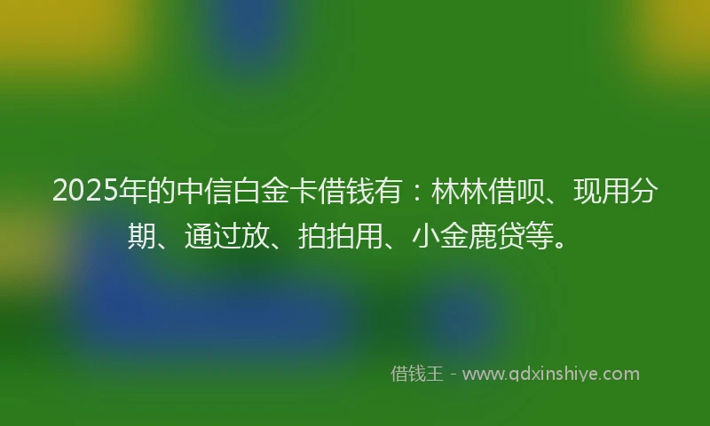 2025年的中信白金卡借钱有：林林借呗、现用分期、通过放、拍拍用、小金鹿贷等。