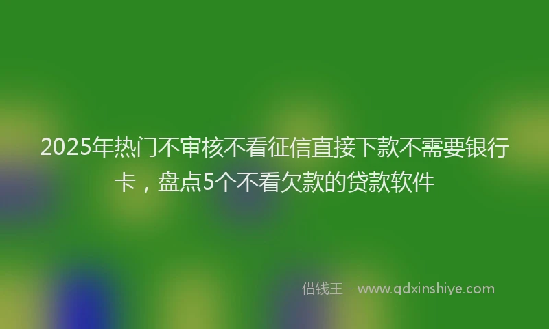 2025年热门不审核不看征信直接下款不需要银行卡，盘点5个不看欠款的贷款软件