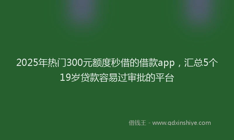 2025年热门300元额度秒借的借款app，汇总5个19岁贷款容易过审批的平台
