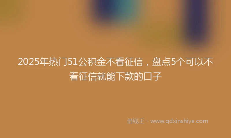 2025年热门51公积金不看征信，盘点5个可以不看征信就能下款的口子