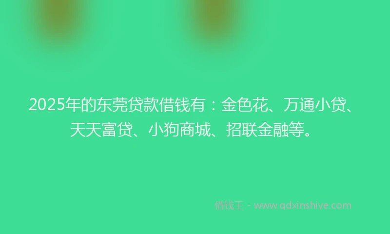 2025年的东莞贷款借钱有：金色花、万通小贷、天天富贷、小狗商城、招联金融等。