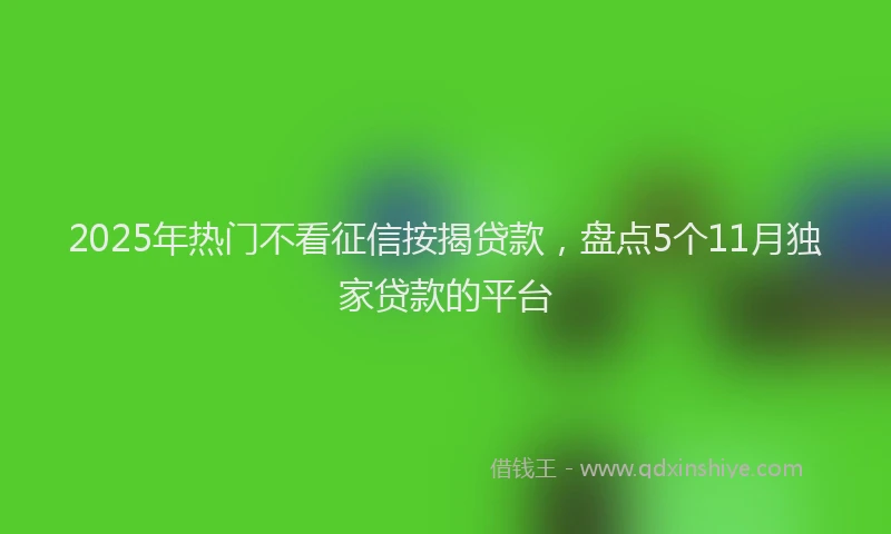 2025年热门不看征信按揭贷款，盘点5个11月独家贷款的平台