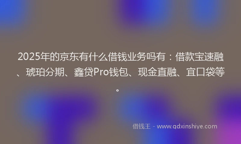 2025年的京东有什么借钱业务吗有：借款宝速融、琥珀分期、鑫贷Pro钱包、现金直融、宜口袋等。