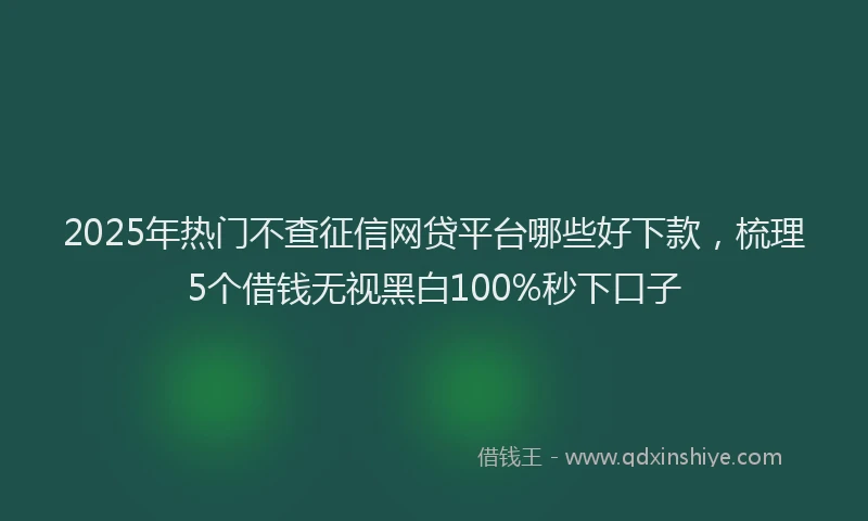 2025年热门不查征信网贷平台哪些好下款，梳理5个借钱无视黑白100%秒下口子