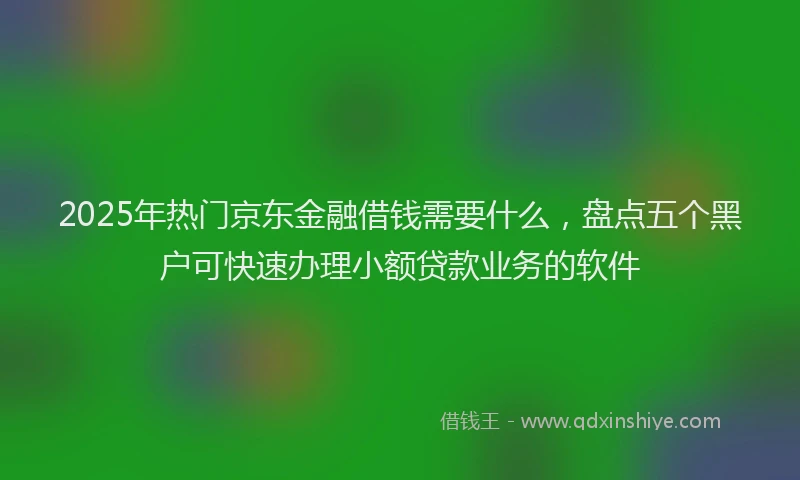 2025年热门京东金融借钱需要什么，盘点五个黑户可快速办理小额贷款业务的软件