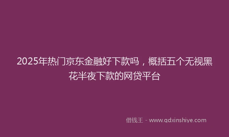 2025年热门京东金融好下款吗，概括五个无视黑花半夜下款的网贷平台