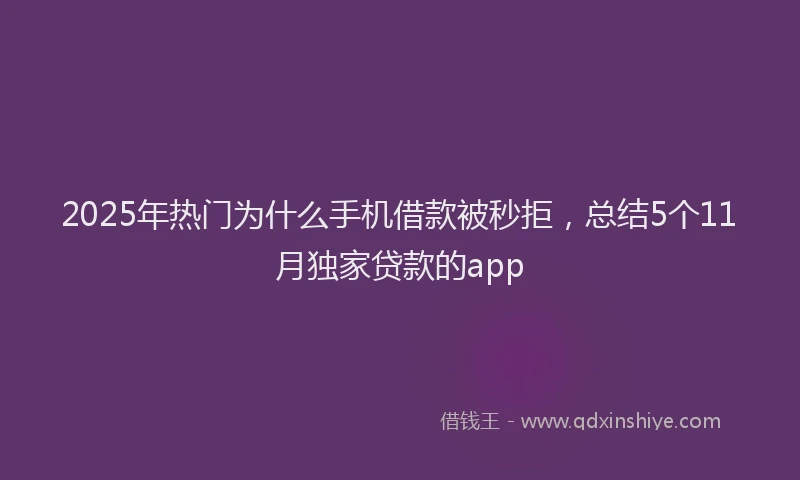 2025年热门为什么手机借款被秒拒，总结5个11月独家贷款的app