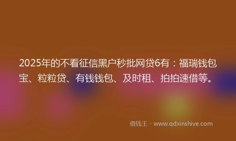 2025年的不看征信黑户秒批网贷6有：福瑞钱包宝、粒粒贷、有钱钱包、及时租、拍拍速借等。