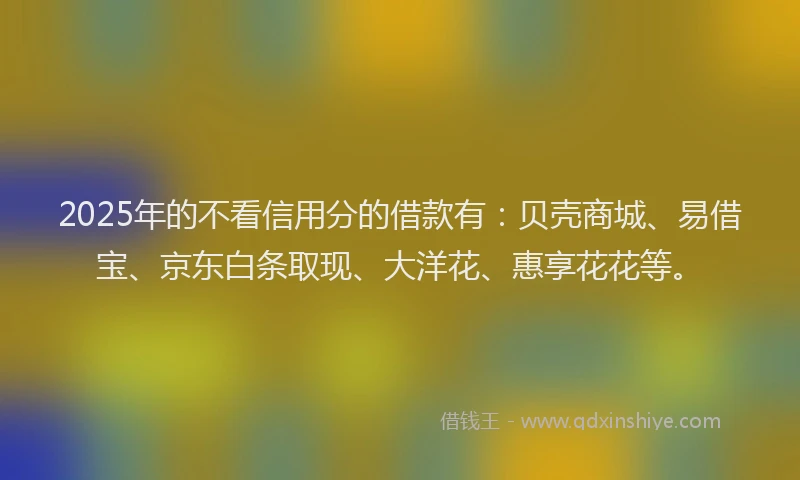 2025年的不看信用分的借款有：贝壳商城、易借宝、京东白条取现、大洋花、惠享花花等。