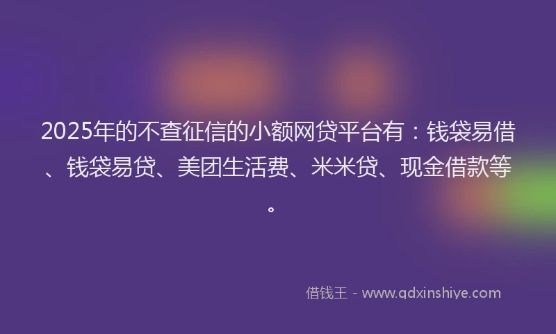 2025年的不查征信的小额网贷平台有：钱袋易借、钱袋易贷、美团生活费、米米贷、现金借款等。