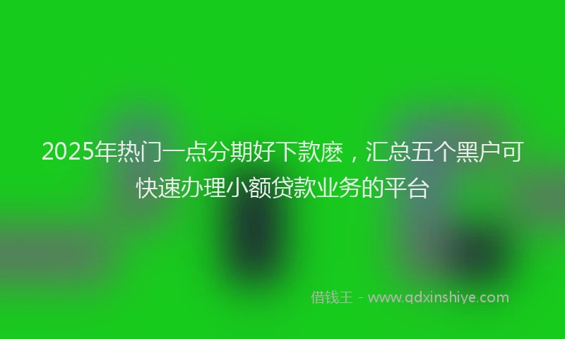 2025年热门一点分期好下款麽，汇总五个黑户可快速办理小额贷款业务的平台