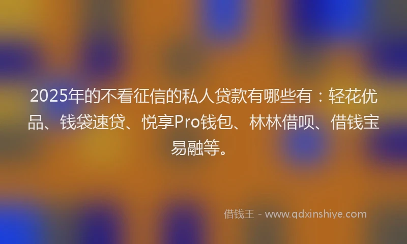 2025年的不看征信的私人贷款有哪些有：轻花优品、钱袋速贷、悦享Pro钱包、林林借呗、借钱宝易融等。