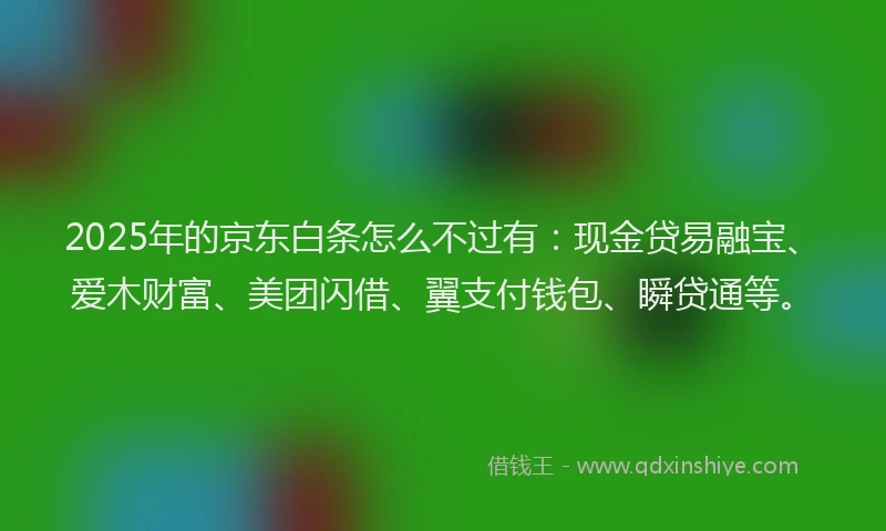 2025年的京东白条怎么不过有：现金贷易融宝、爱木财富、美团闪借、翼支付钱包、瞬贷通等。