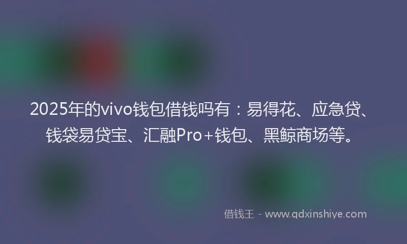 2025年的vivo钱包借钱吗有：易得花、应急贷、钱袋易贷宝、汇融Pro+钱包、黑鲸商场等。
