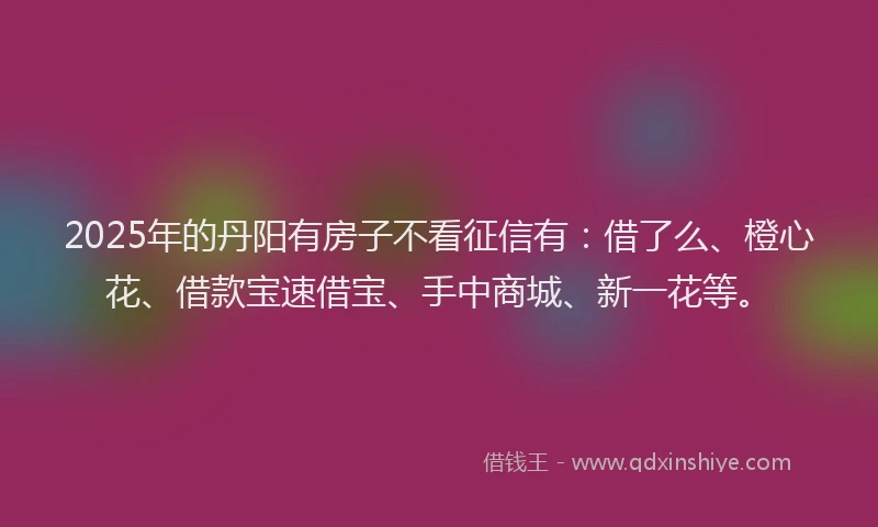 2025年的丹阳有房子不看征信有：借了么、橙心花、借款宝速借宝、手中商城、新一花等。