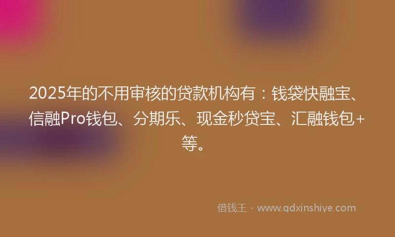 2025年的不用审核的贷款机构有：钱袋快融宝、信融Pro钱包、分期乐、现金秒贷宝、汇融钱包+等。