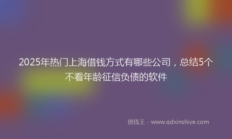 2025年热门上海借钱方式有哪些公司，总结5个不看年龄征信负债的软件