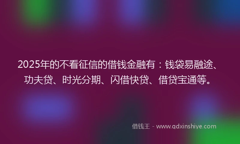 2025年的不看征信的借钱金融有：钱袋易融途、功夫贷、时光分期、闪借快贷、借贷宝通等。