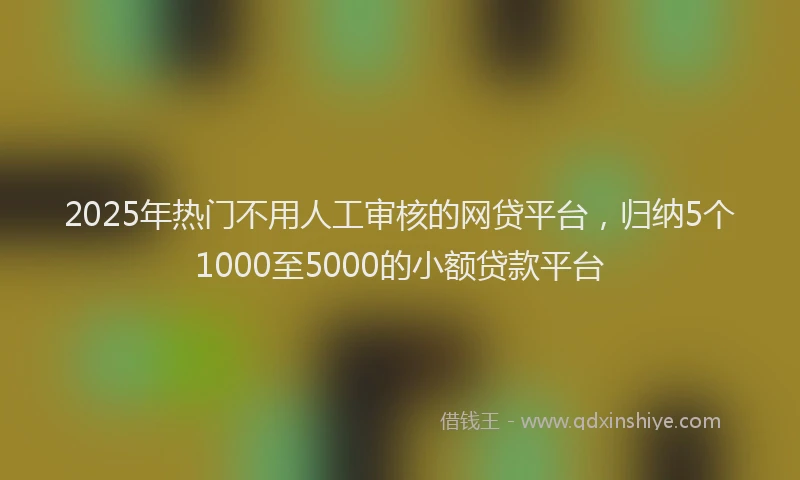 2025年热门不用人工审核的网贷平台，归纳5个1000至5000的小额贷款平台