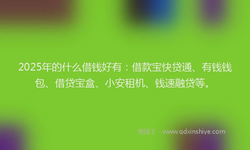 2025年的什么借钱好有：借款宝快贷通、有钱钱包、借贷宝盒、小安租机、钱速融贷等。