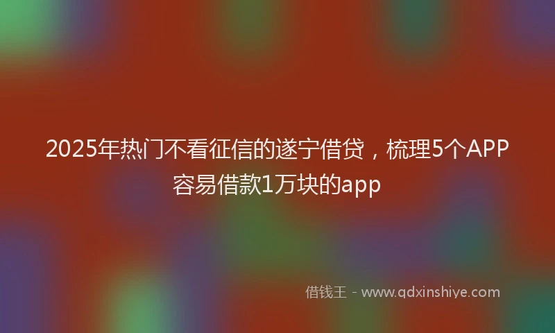 2025年热门不看征信的遂宁借贷，梳理5个APP容易借款1万块的app