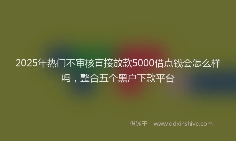 2025年热门不审核直接放款5000借点钱会怎么样吗，整合五个黑户下款平台
