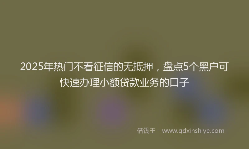 2025年热门不看征信的无抵押，盘点5个黑户可快速办理小额贷款业务的口子