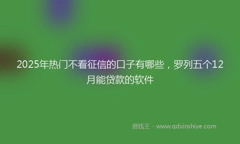 2025年热门不看征信的口子有哪些，罗列五个12月能贷款的软件