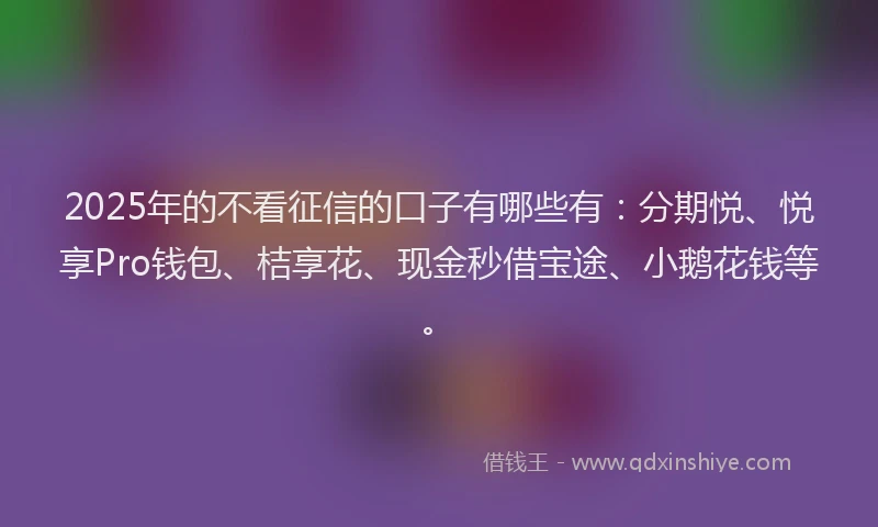 2025年的不看征信的口子有哪些有：分期悦、悦享Pro钱包、桔享花、现金秒借宝途、小鹅花钱等。
