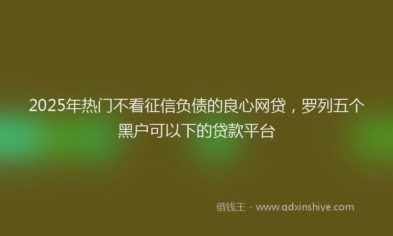 2025年热门不看征信负债的良心网贷，罗列五个黑户可以下的贷款平台