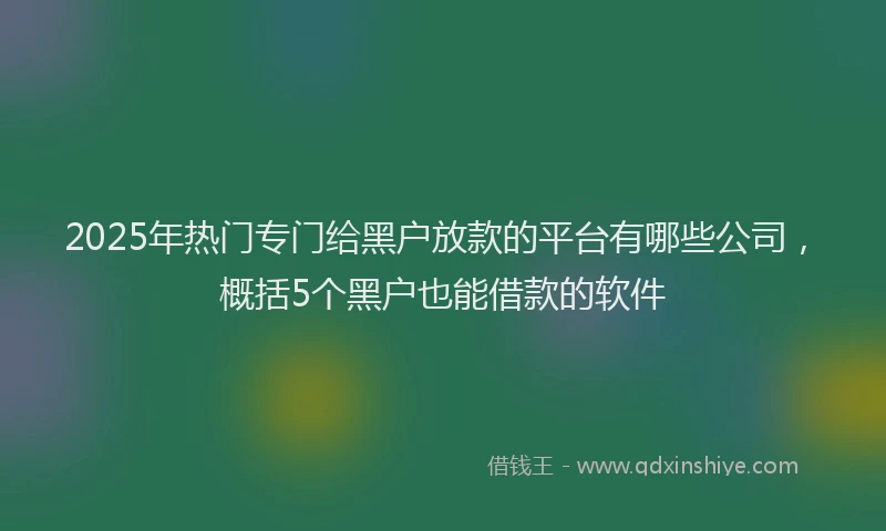 2025年热门专门给黑户放款的平台有哪些公司，概括5个黑户也能借款的软件