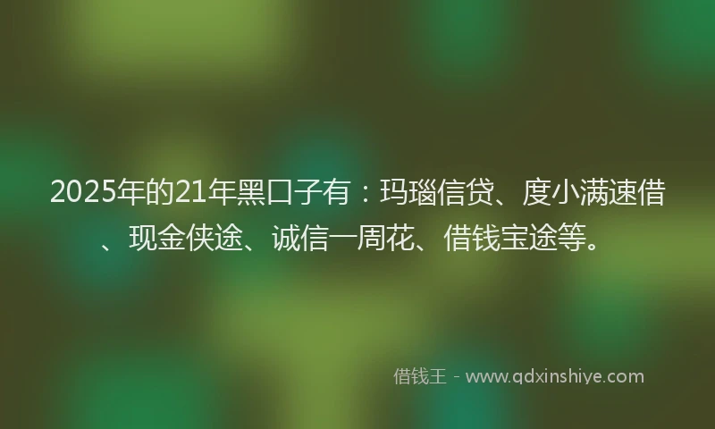 2025年的21年黑口子有：玛瑙信贷、度小满速借、现金侠途、诚信一周花、借钱宝途等。
