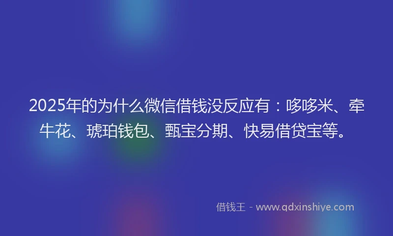 2025年的为什么微信借钱没反应有：哆哆米、牵牛花、琥珀钱包、甄宝分期、快易借贷宝等。