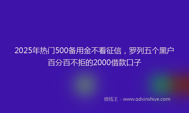 2025年热门500备用金不看征信，罗列五个黑户百分百不拒的2000借款口子