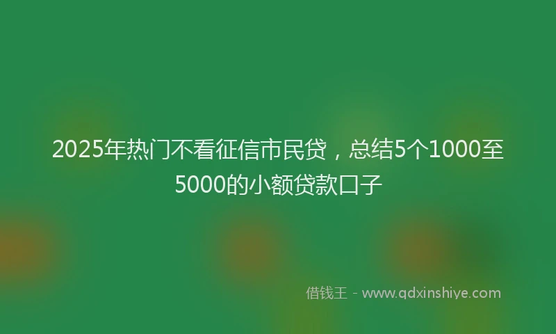 2025年热门不看征信市民贷，总结5个1000至5000的小额贷款口子