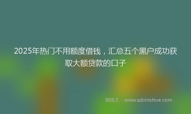 2025年热门不用额度借钱，汇总五个黑户成功获取大额贷款的口子