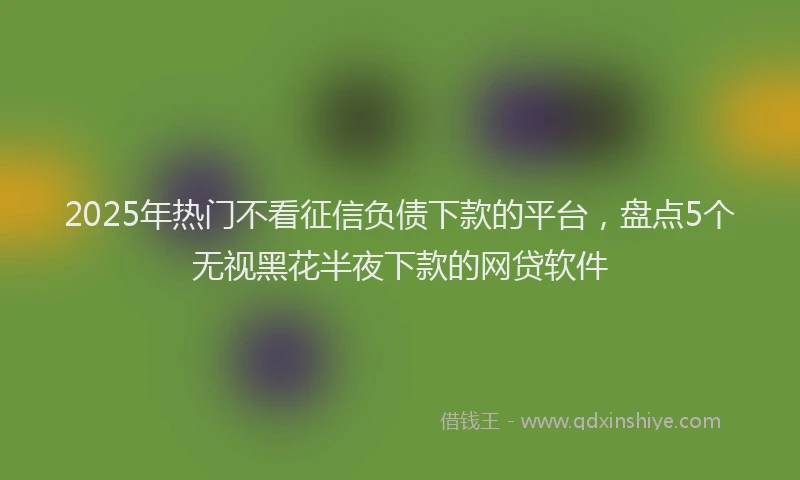 2025年热门不看征信负债下款的平台，盘点5个无视黑花半夜下款的网贷软件