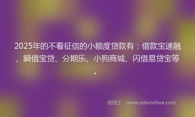 2025年的不看征信的小额度贷款有：借款宝速融、瞬借宝贷、分期乐、小狗商城、闪借易贷宝等。