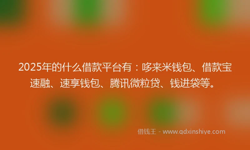 2025年的什么借款平台有：哆来米钱包、借款宝速融、速享钱包、腾讯微粒贷、钱进袋等。