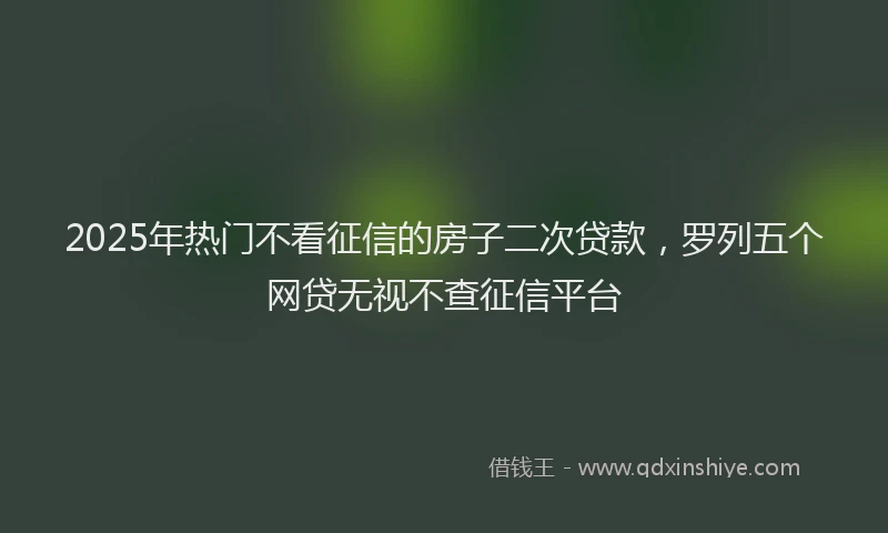2025年热门不看征信的房子二次贷款，罗列五个网贷无视不查征信平台