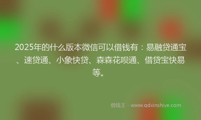 2025年的什么版本微信可以借钱有：易融贷通宝、速贷通、小象快贷、森森花呗通、借贷宝快易等。