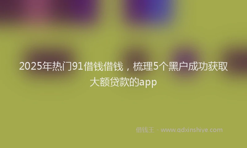 2025年热门91借钱借钱，梳理5个黑户成功获取大额贷款的app