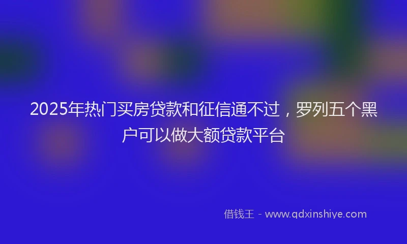 2025年热门买房贷款和征信通不过，罗列五个黑户可以做大额贷款平台