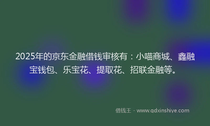 2025年的京东金融借钱审核有：小喵商城、鑫融宝钱包、乐宝花、提取花、招联金融等。