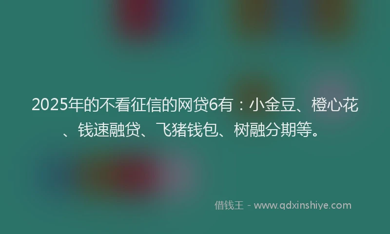 2025年的不看征信的网贷6有：小金豆、橙心花、钱速融贷、飞猪钱包、树融分期等。