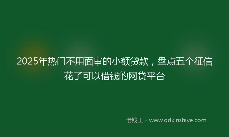 2025年热门不用面审的小额贷款，盘点五个征信花了可以借钱的网贷平台